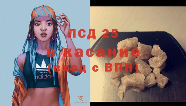 стаф Алексин