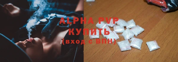 СК Алзамай