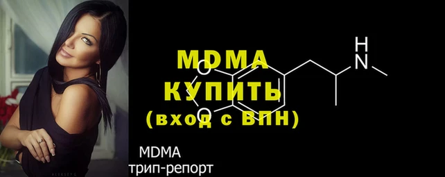 стаф Алексин
