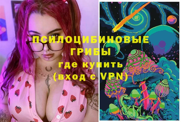 стаф Алексин